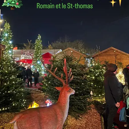 아파트 Le St-thomas, En Centre *