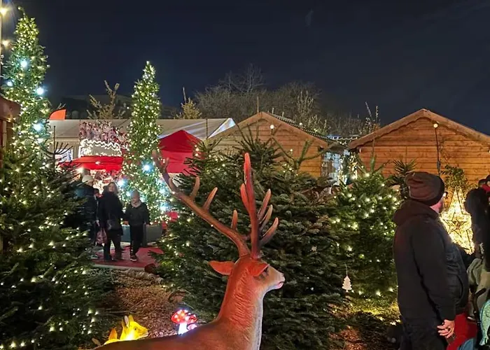 Apartament Le St-thomas, En Centre *